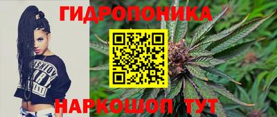 индика Краснодар