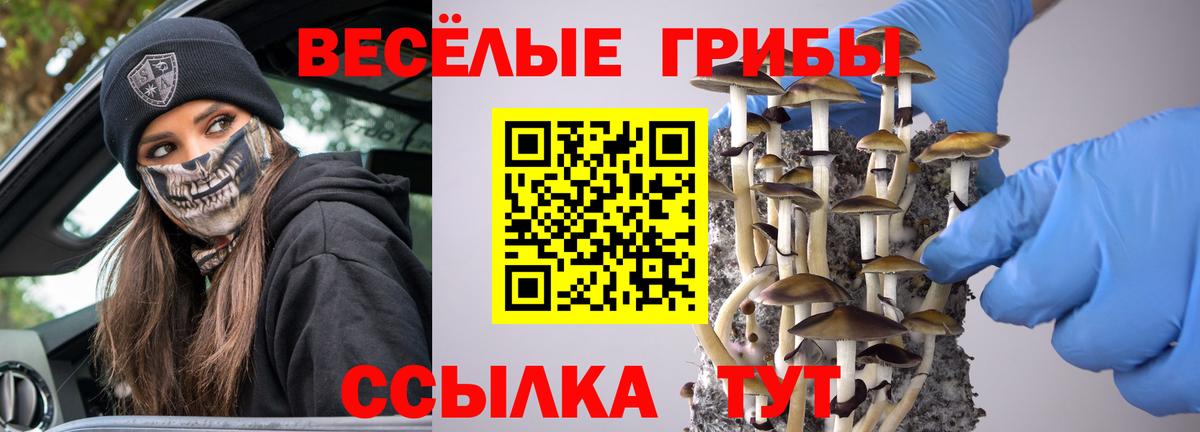 Псилоцибиновые грибы ЛСД  Вход с VPN  Мытищи  хочу   Галлюциногенные грибы мухоморы 